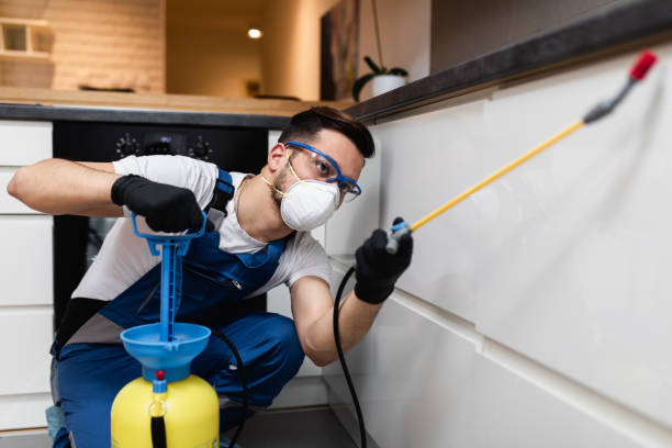 Best Pest Control Cost  in Wendover, UT