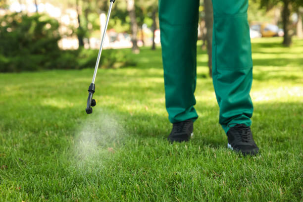 Best Wasp Removal Services  in Wendover, UT