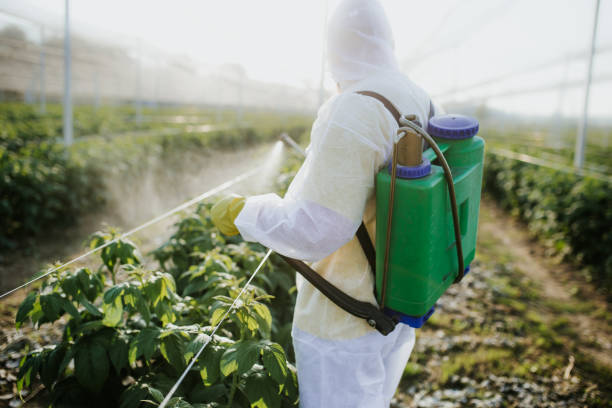 Best Exterminator Services  in Wendover, UT